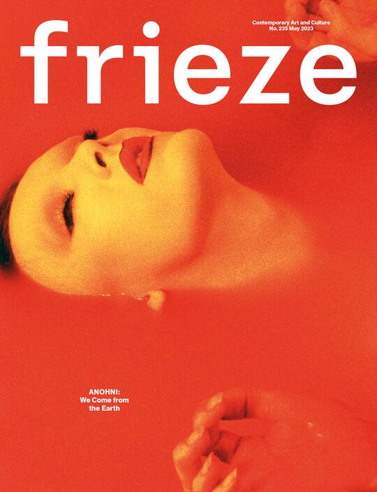 Cover_frieze235