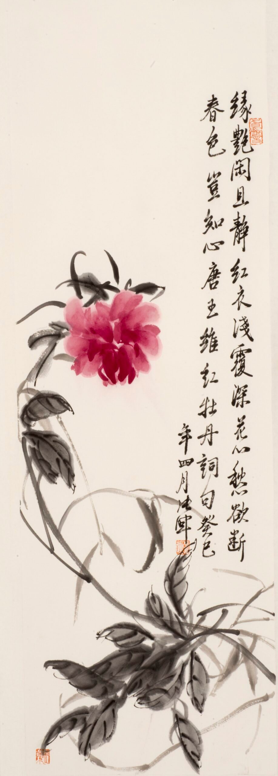 38341761299373_.pic_hd