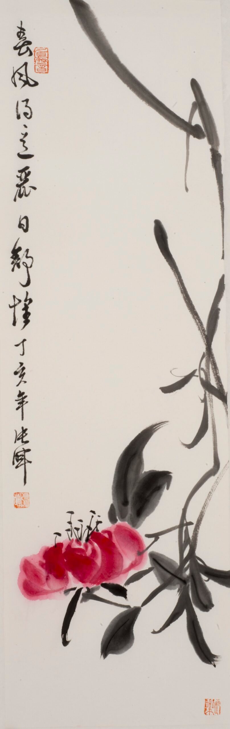 38351761299386_.pic_hd